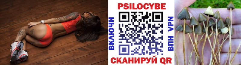 Псилоцибиновые грибы Psilocybe  гидра как войти  Усть-Катав 